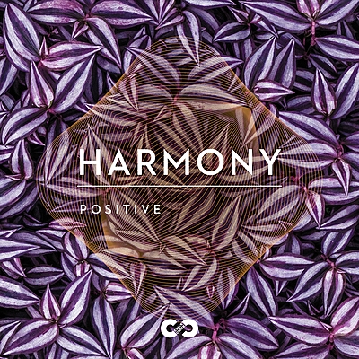 Positive: Harmony